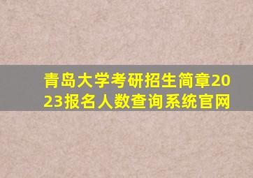 青岛大学考研招生简章2023报名人数查询系统官网