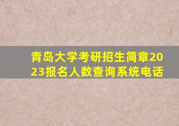 青岛大学考研招生简章2023报名人数查询系统电话