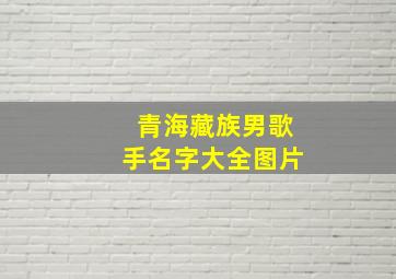 青海藏族男歌手名字大全图片