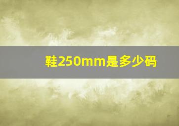 鞋250mm是多少码