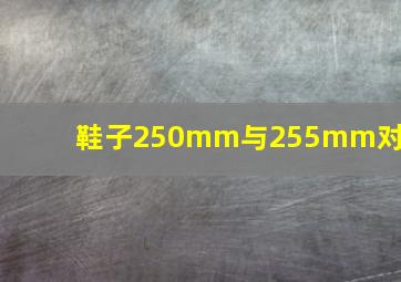 鞋子250mm与255mm对比