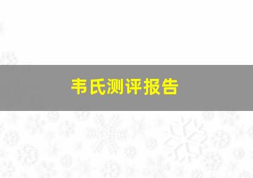 韦氏测评报告