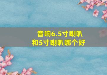 音响6.5寸喇叭和5寸喇叭哪个好