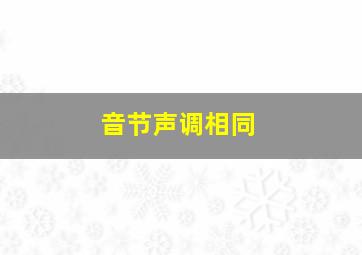 音节声调相同