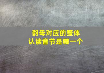 韵母对应的整体认读音节是哪一个