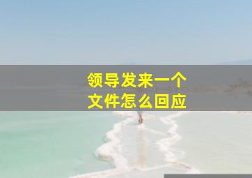 领导发来一个文件怎么回应