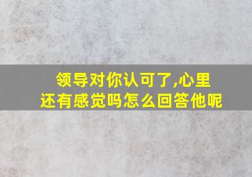 领导对你认可了,心里还有感觉吗怎么回答他呢