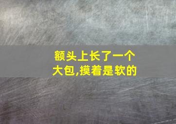 额头上长了一个大包,摸着是软的