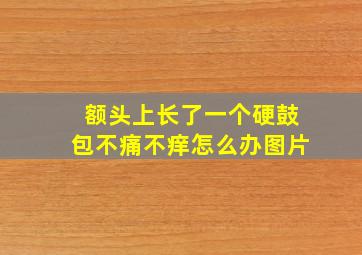 额头上长了一个硬鼓包不痛不痒怎么办图片