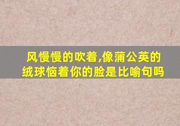 风慢慢的吹着,像蒲公英的绒球恼着你的脸是比喻句吗