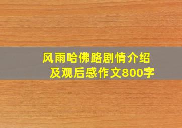 风雨哈佛路剧情介绍及观后感作文800字