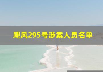 飓风295号涉案人员名单