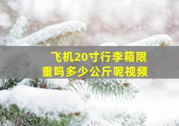 飞机20寸行李箱限重吗多少公斤呢视频