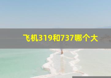 飞机319和737哪个大