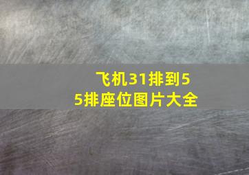 飞机31排到55排座位图片大全