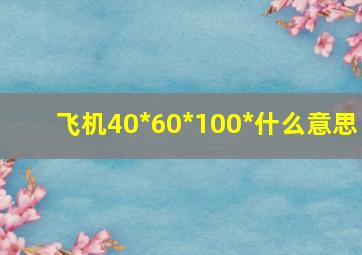 飞机40*60*100*什么意思