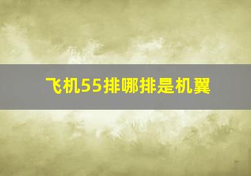 飞机55排哪排是机翼