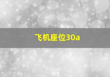 飞机座位30a