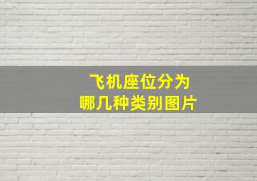 飞机座位分为哪几种类别图片