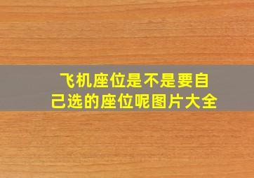 飞机座位是不是要自己选的座位呢图片大全