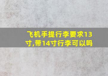 飞机手提行李要求13寸,带14寸行李可以吗