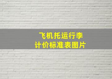 飞机托运行李计价标准表图片