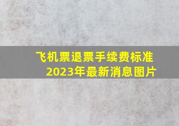 飞机票退票手续费标准2023年最新消息图片