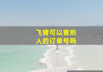 飞猪可以查别人的订单号吗