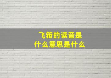 飞箝的读音是什么意思是什么