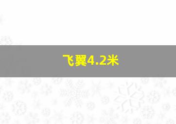 飞翼4.2米