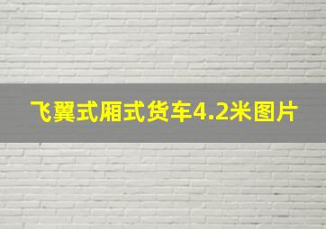 飞翼式厢式货车4.2米图片