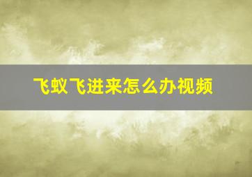 飞蚁飞进来怎么办视频