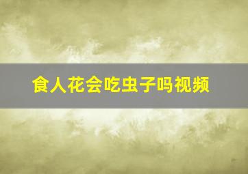 食人花会吃虫子吗视频