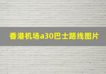 香港机场a30巴士路线图片