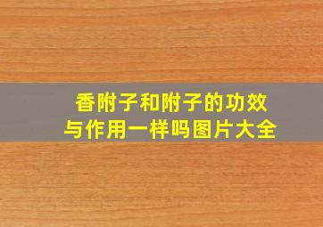 香附子和附子的功效与作用一样吗图片大全