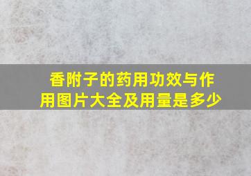 香附子的药用功效与作用图片大全及用量是多少