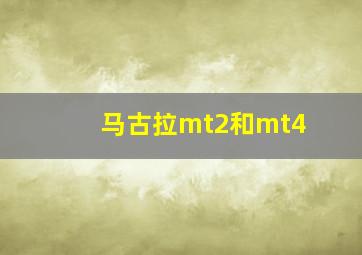 马古拉mt2和mt4