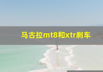 马古拉mt8和xtr刹车