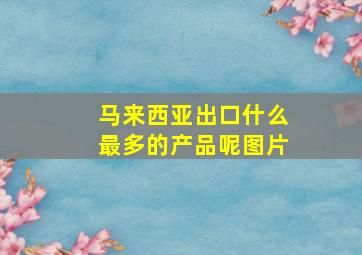 马来西亚出口什么最多的产品呢图片