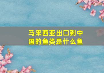 马来西亚出口到中国的鱼类是什么鱼