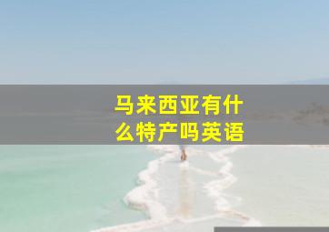 马来西亚有什么特产吗英语