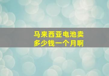 马来西亚电池卖多少钱一个月啊