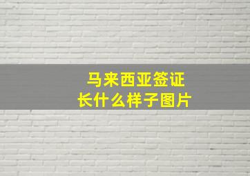 马来西亚签证长什么样子图片