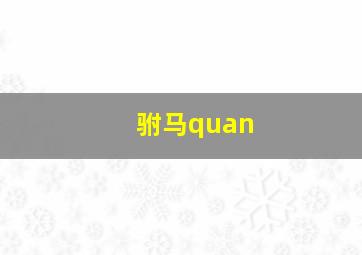 驸马quan