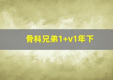 骨科兄弟1+v1年下