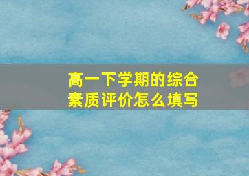 高一下学期的综合素质评价怎么填写