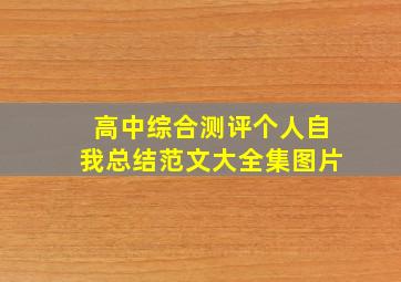 高中综合测评个人自我总结范文大全集图片