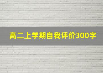 高二上学期自我评价300字