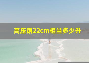 高压锅22cm相当多少升