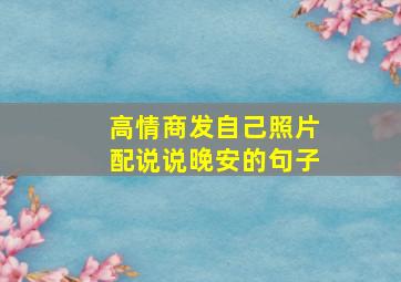 高情商发自己照片配说说晚安的句子